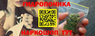 дмт Братск